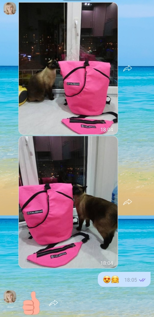 Rolltop Рожевий рюкзак трансформер (40x20x25см) з бананкою — картинка